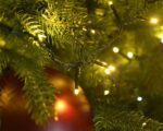 Guirlande LED Compacte Blachère Illumination Store accrochée à un arbre de Noël