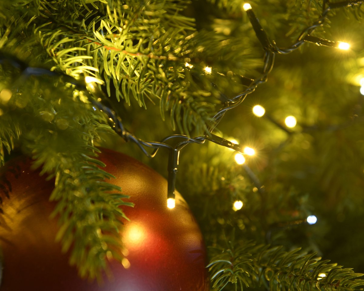 Guirlande LED Compacte Blachère Illumination Store accrochée à un arbre de Noël