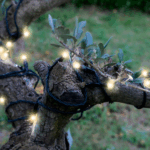 Guirlande LED solaire de chez Blachère Illumination Store